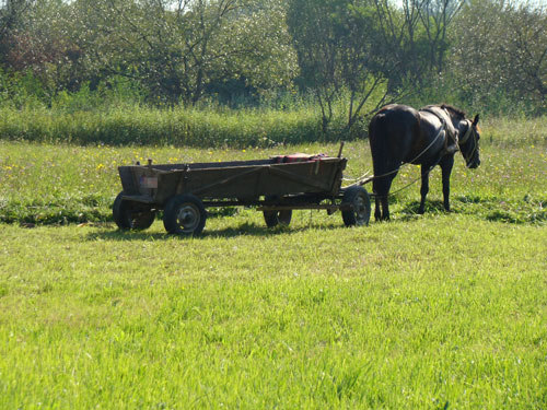 FOTO: Contrabanda tigari, Piatra